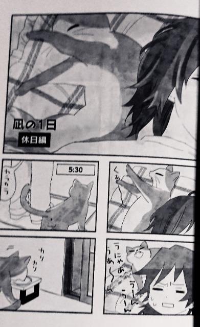 Sł̐nlu˂vy`E~}YY  Aj/R~bN/LN^[ 