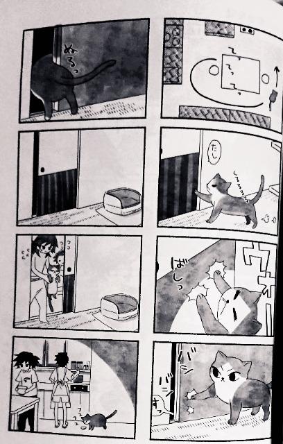 Sł̐nlu˂vy`E~}YY  Aj/R~bN/LN^[ 