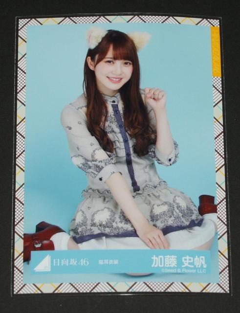日向坂46  生写真1枚 加藤史帆 猫耳衣装 < タレントグッズ  日向坂46  生写真1枚 加藤史帆 猫耳衣装  < タレントグッズの