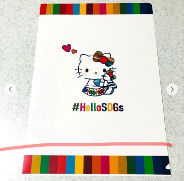 n[LeB Cg[[Jh[t@C 2ZbgSDGs 񔄕i LeB TI   