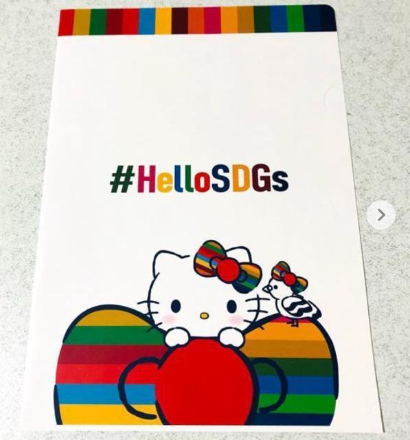 n[LeB Cg[[Jh[t@C 2ZbgSDGs 񔄕i LeB TI   