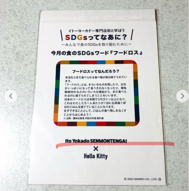 n[LeB Cg[[Jh[t@C 2ZbgSDGs 񔄕i LeB TI   