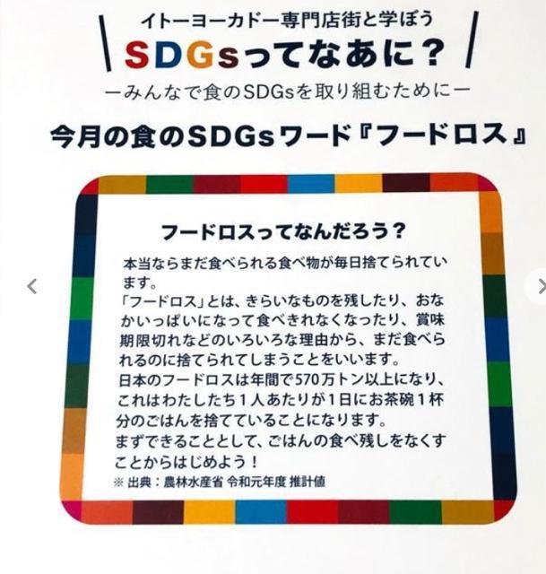 n[LeB Cg[[Jh[t@C 2ZbgSDGs 񔄕i LeB TI   