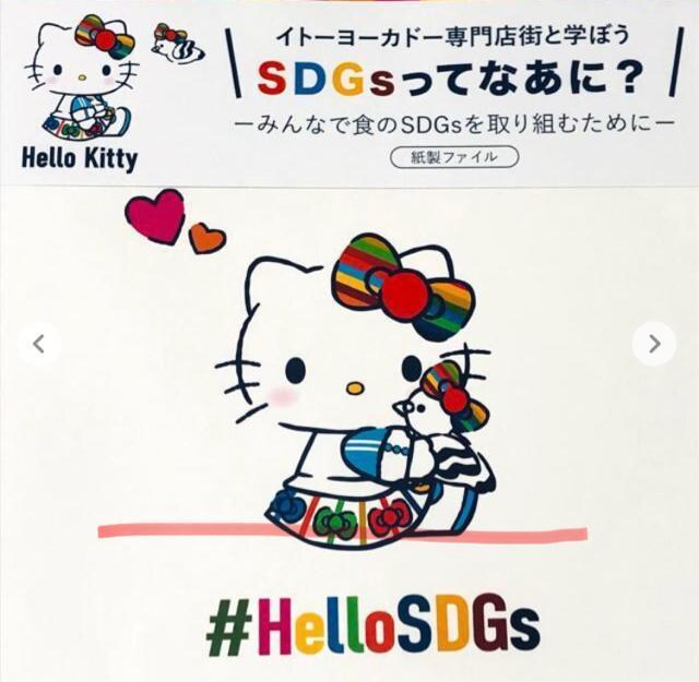 n[LeB Cg[[Jh[t@C 2ZbgSDGs 񔄕i LeB TI   