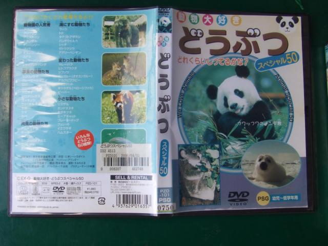 幼児教育DVD 「どうぶつ大好き」 幼児・低学年向き < CD/DVD/ビデオ 幼児教育DVD 「どうぶつ大好き」 幼児・低学年向き < CD/DVD/ビデオの