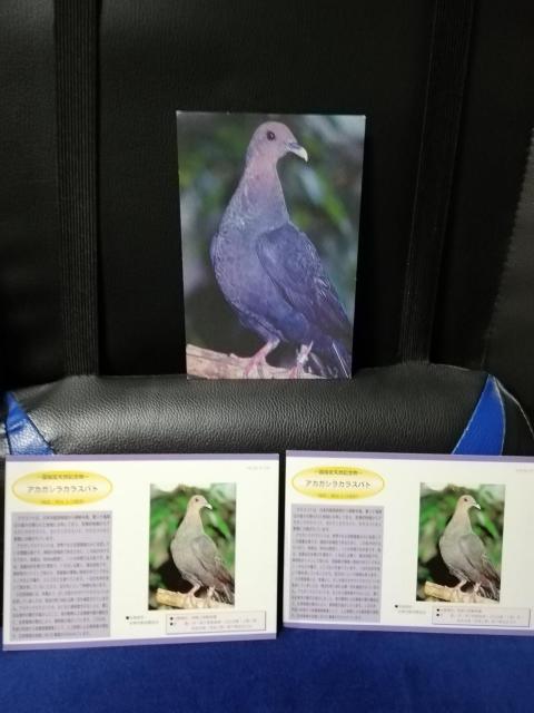 y|XgJ[hzAJKVJXog@3Zbg   zr[ 