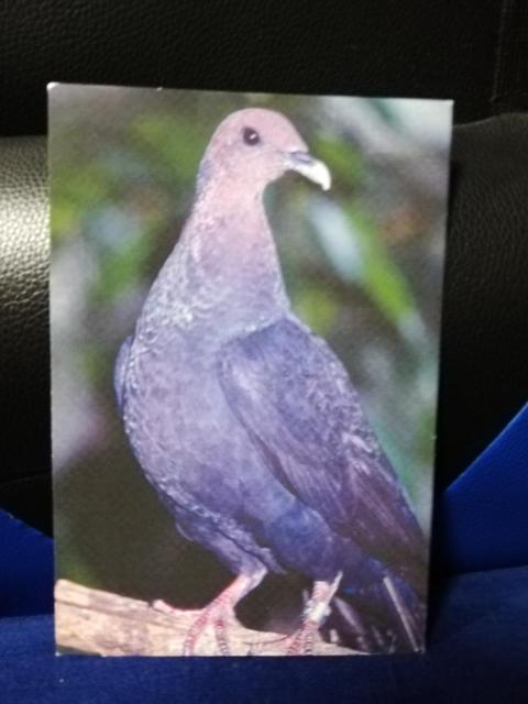 y|XgJ[hzAJKVJXog@3Zbg  zr[ 