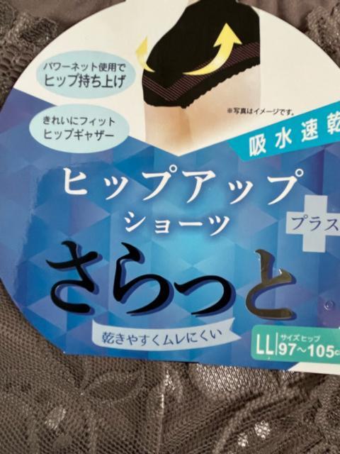 LLサイズ!パワーネットでヒップアップ!吸水速乾!サラッと光沢感ある!エレガント!ガードルショーツ! < 女性ファッション LLサイズ!パワーネットでヒップアップ!吸水速乾!サラッと光沢感ある!エレガント!ガードルショーツ! < 女性ファッションの
