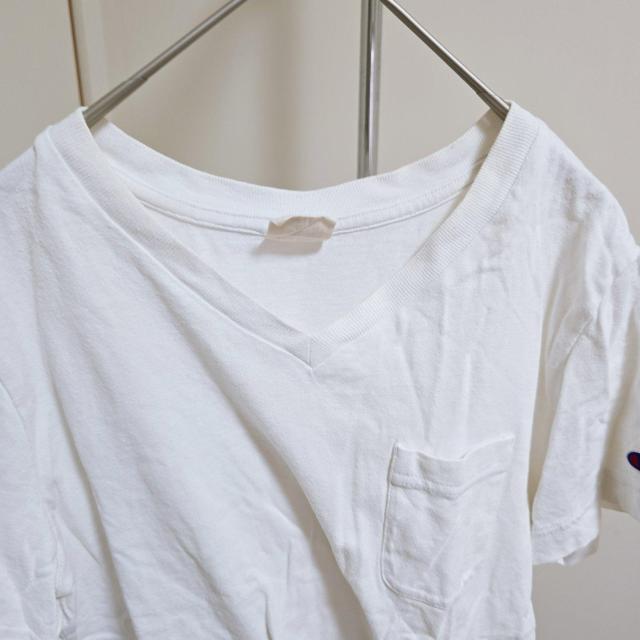 Champion �`�����s�I��  V�l�b�N T�V���c�@���@�z���C�g �� �u�����h�� 