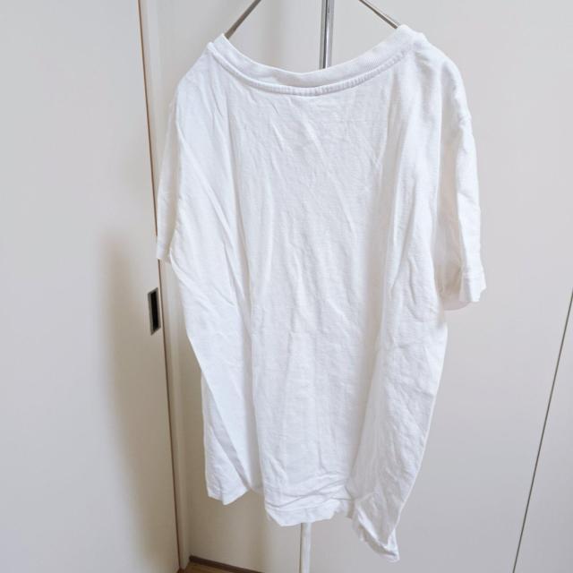 Champion �`�����s�I��  V�l�b�N T�V���c�@���@�z���C�g �� �u�����h�� 