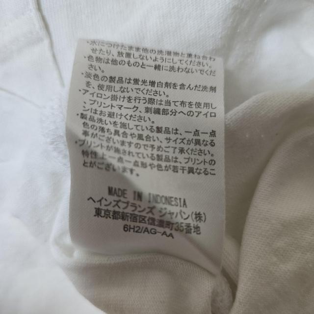 Champion �`�����s�I��  V�l�b�N T�V���c�@���@�z���C�g �� �u�����h�� 