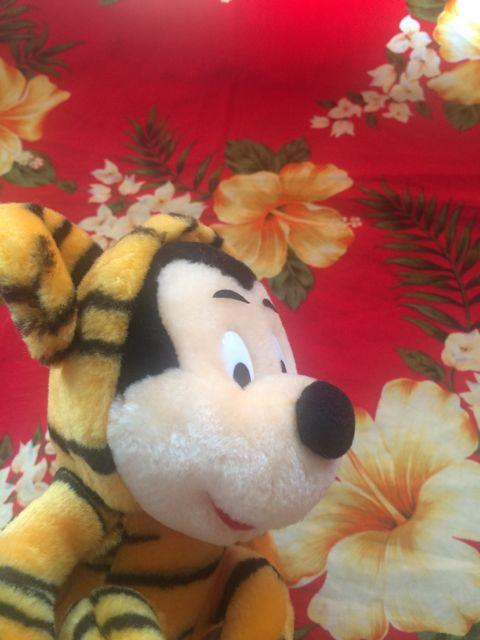 Disney~bL[}EXgʂ݁  Aj/R~bN/LN^[ 