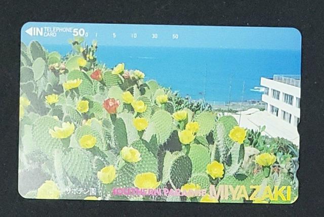 �{��@�T�{�e����  �� �z�r�[�� 