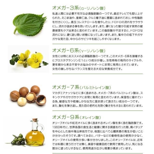 }`IK m ܖ Tvg3  wX/r[eB[ 