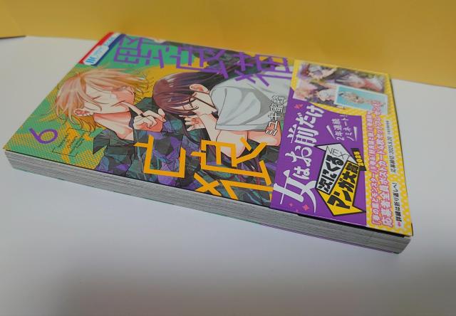 最新刊6巻(以下続刊)野良猫と狼/著者:ミユキ蜜蜂 < アニメ/コミック/キャラクター  最新刊6巻(以下続刊)野良猫と狼/著者:ミユキ蜜蜂 < アニメ/コミック/キャラクターの