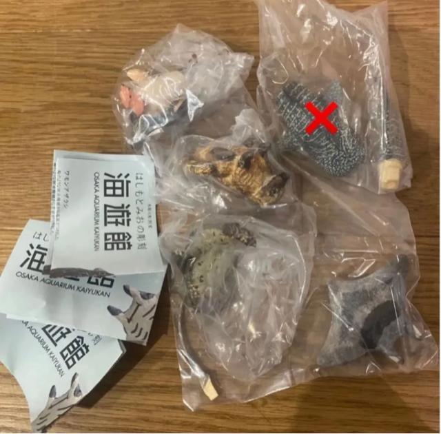 海遊館 ガチャ セミコンプリート < ホビー 海遊館 ガチャ セミコンプリート < ホビーの