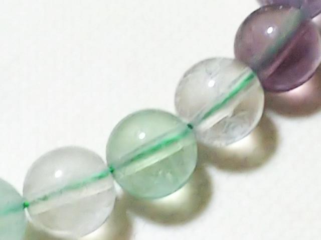 �V�R�΁��t���[���C�g�@���E���h�W�����@���A �� �����A�N�Z�T���[/���v�� 