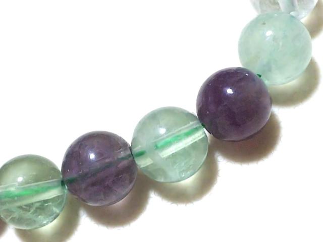 �V�R�΁��t���[���C�g�@���E���h�W�����@���A �� �����A�N�Z�T���[/���v�� 