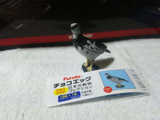 �t���^ ���{�̓��� 10th  ���C�`���E ��  �� �z�r�[�� 