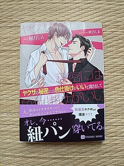 10月新刊  ヤクザの秘密には色仕掛けがいいと聞きまして  稲月しん < 本/雑誌  10月新刊  ヤクザの秘密には色仕掛けがいいと聞きまして  稲月しん  < 本/雑誌の