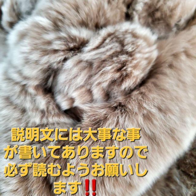 送料無料★毛皮★可愛い!ふかふか!レッキスファーマフラー★ < 女性ファッション 送料無料★毛皮★可愛い!ふかふか!レッキスファーマフラー★ < 女性ファッションの