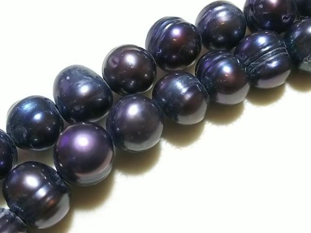 �V�R�΁��W���p�[���@�Z�~���E���h�i�s�[�R�b�N�j�@�P�A �� �����A�N�Z�T���[/���v�� 