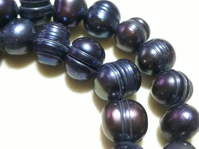 �V�R�΁��W���p�[���@�Z�~���E���h�i�s�[�R�b�N�j�@�P�A �� �����A�N�Z�T���[/���v�� 