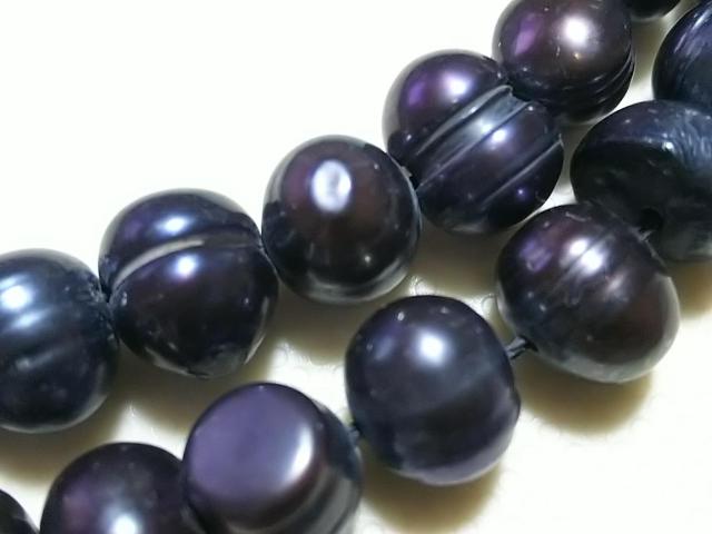 �V�R�΁��W���p�[���@�Z�~���E���h�i�s�[�R�b�N�j�@�P�A �� �����A�N�Z�T���[/���v�� 