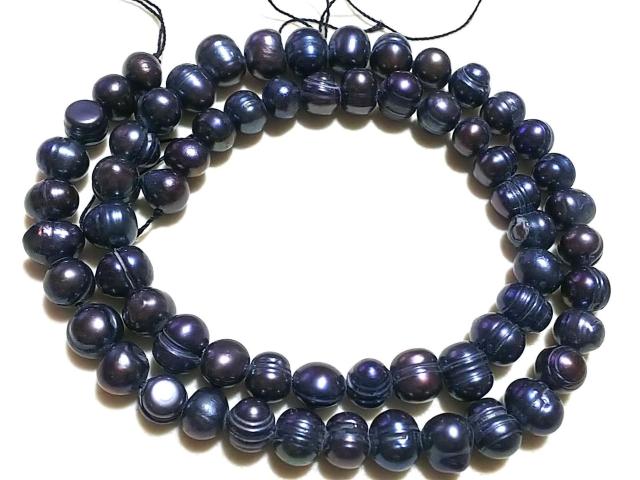 �V�R�΁��W���p�[���@�Z�~���E���h�i�s�[�R�b�N�j�@�P�A �� �����A�N�Z�T���[/���v�� 