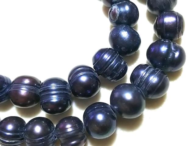 �V�R�΁��W���p�[���@�Z�~���E���h�i�s�[�R�b�N�j�@�P�A �� �����A�N�Z�T���[/���v�� 