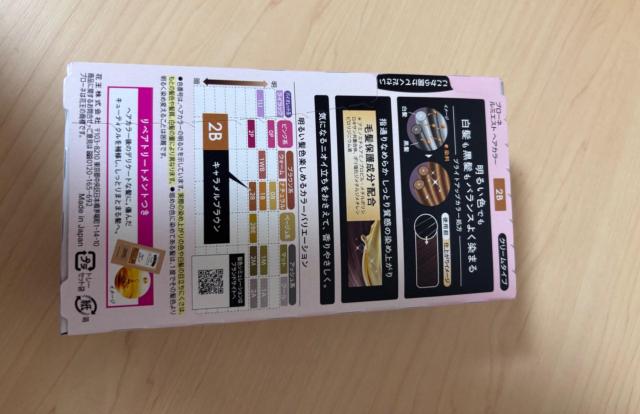 ブローネ ルミエスト ヘアカラー 2B キャメルブラウン クリームタイプ 白髪用 花王 < 香水/コスメ/ネイル ブローネ ルミエスト ヘアカラー 2B キャメルブラウン クリームタイプ 白髪用 花王 < 香水/コスメ/ネイルの