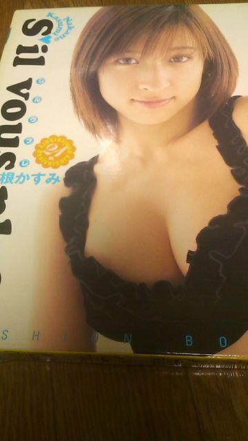 送料込み・仲根かすみ・写真集〜付属品3点完品 < タレントグッズ  送料込み・仲根かすみ・写真集〜付属品3点完品  < タレントグッズの