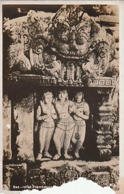 2E퉺 AWAZE@RXւ͂3 y27z  zr[ 