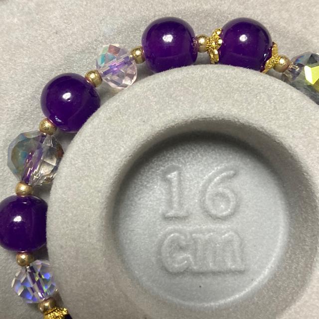 VR΁@AWXguXbg lԊ֌W@16cm  ANZT[/v 