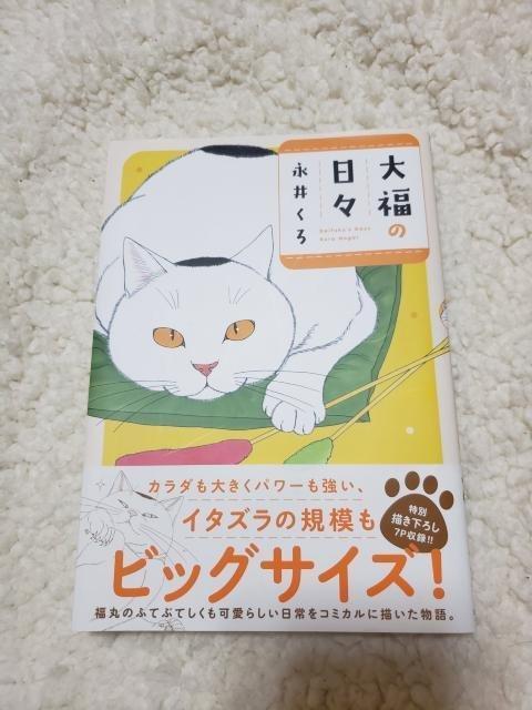大福の日々 永井くろ < 本/雑誌 大福の日々 永井くろ < 本/雑誌の
