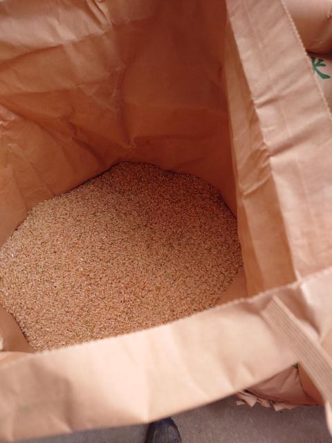 �X���O�O�Y�̗ߘa�V�N�Y�u �܂�������v����10kg�ł��B�_�ƒ��� �� �O����/�h�����N�� 