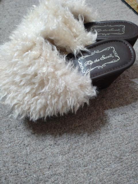 �T���_���@�����p�@����  �� �����t�@�b�V������ 