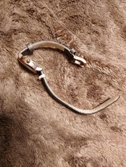 �t���S�����r���v �� �����A�N�Z�T���[/���v�� 