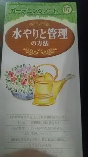 ガーデニング、水やりと管理の方法冊子 < ペット/手芸/園芸  ガーデニング、水やりと管理の方法冊子  < ペット/手芸/園芸の