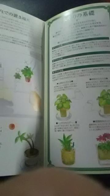 ガーデニング、水やりと管理の方法冊子 < ペット/手芸/園芸  ガーデニング、水やりと管理の方法冊子 < ペット/手芸/園芸の