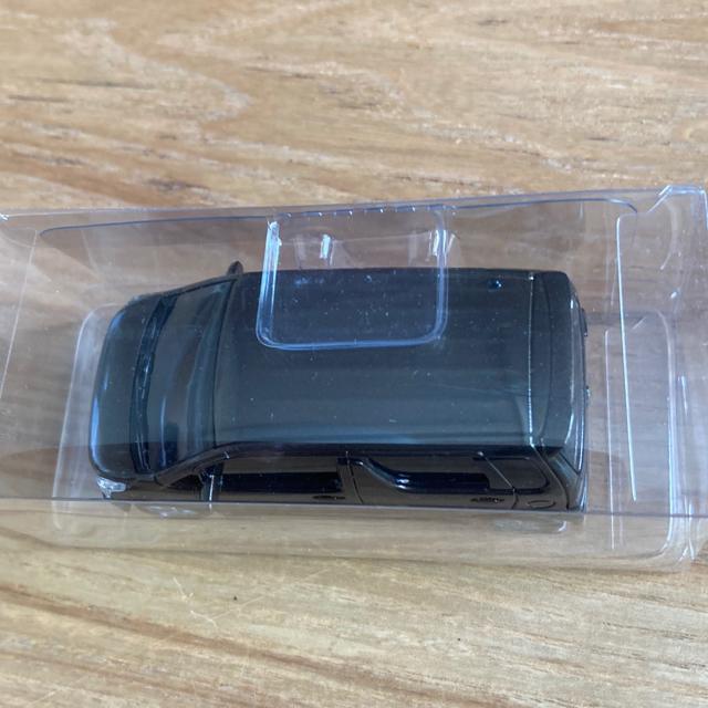 SUZUKI ���S��R �X�e�B���O���[ �J���[�T���v�� �񔄕i �� �z�r�[�� 