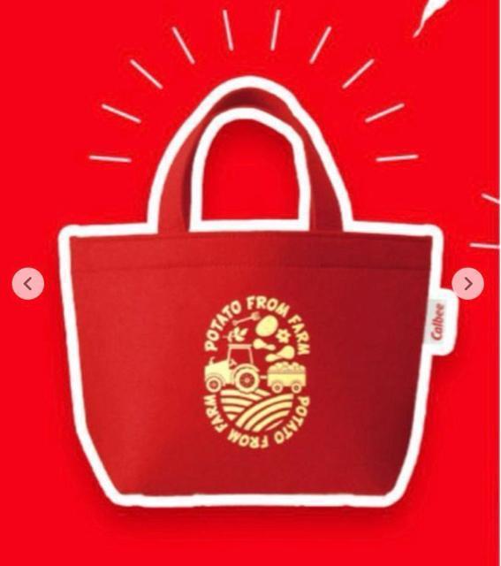 �J���r�[���G�R�t�F���g�~�j�o�b�O �ԁ��g�[�g�o�b�O������ ���I�i �񔄕i 2024�N �� �����t�@�b�V������ 