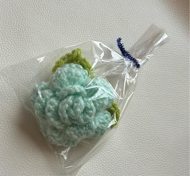 ハンドメイド アクリルたわし 薔薇 抗菌防臭 アイスブルー プレゼント バザー インテリア < 女性ファッション ハンドメイド アクリルたわし 薔薇 抗菌防臭 アイスブルー プレゼント バザー インテリア < 女性ファッションの