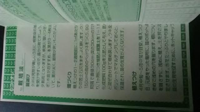 家庭菜園、メロン栽培方法冊子新品 < ペット/手芸/園芸  家庭菜園、メロン栽培方法冊子新品 < ペット/手芸/園芸の