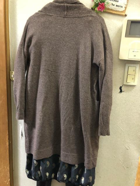 M`LgpJE[gbp[J[fBK  t@bV 