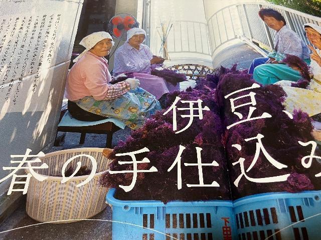 トランヴェール2025年2月号/JR東日本 < 本/雑誌  トランヴェール2025年2月号/JR東日本 < 本/雑誌の