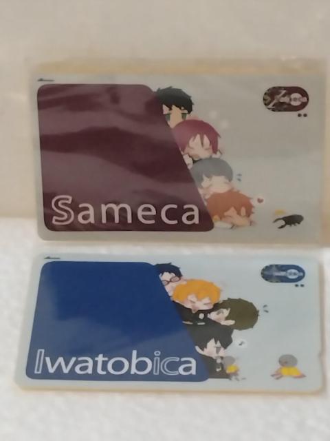 Free! ICJ[hXebJ[ Zbg   Aj/R~bN/LN^[ 