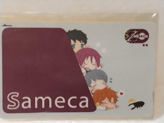 Free! ICJ[hXebJ[ Zbg  Aj/R~bN/LN^[ 