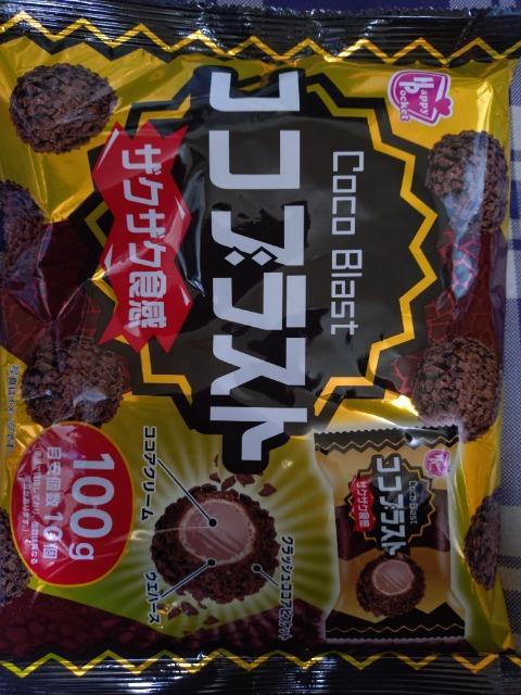 �R�R�u���X�g  �� �O����/�h�����N�� 