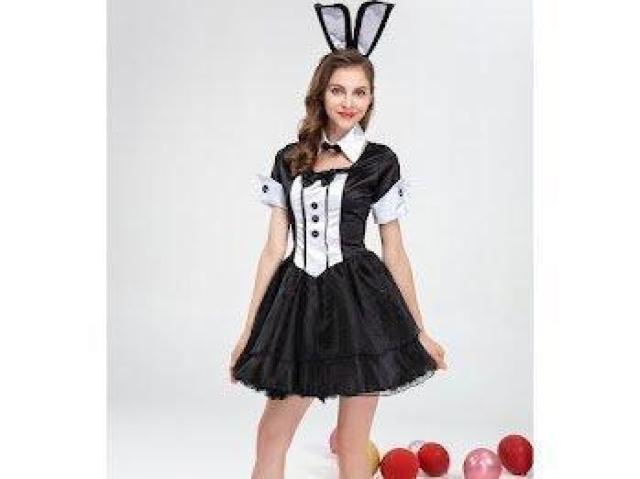 oj[Ch vCtGKX j[N p[eB[ Cxg ubN  t@bV 